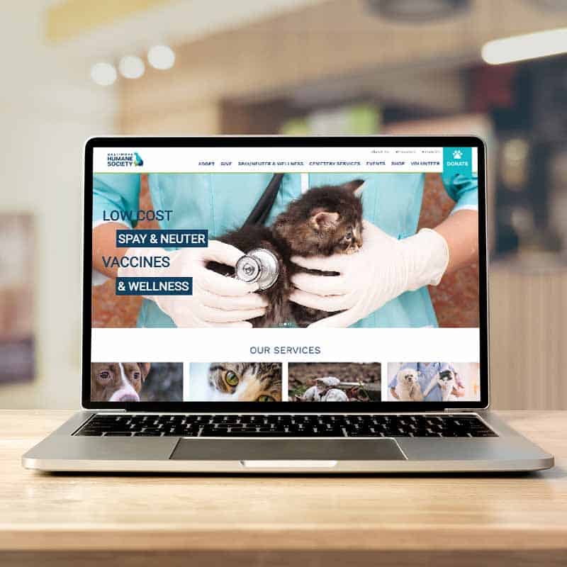 website design and development digital marketing services